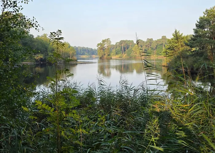 Bosparel Met Ruime Tuin En Airco! 木屋