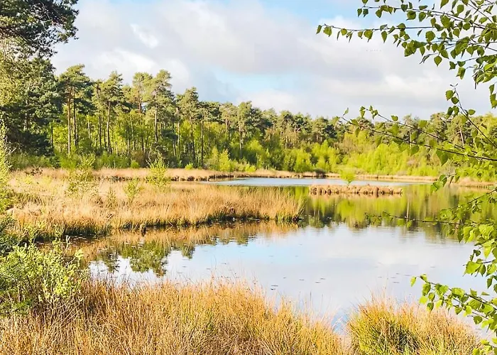 木屋 Bosparel Met Ruime Tuin En Airco! 奥斯特韦克