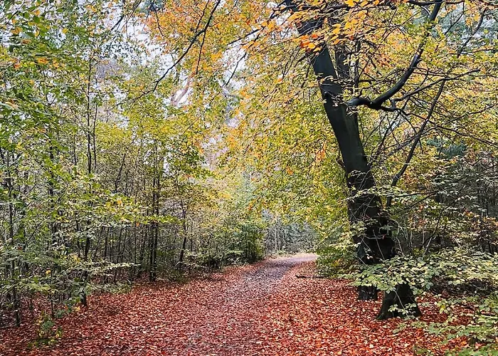 木屋 Bosparel Met Ruime Tuin En Airco!