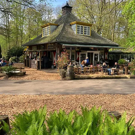 Boscottage Met Ruime Tuin En Airco! Oisterwijk